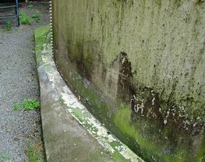 Water penetration and algae formation along this corroded tank base