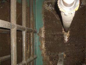 Severe corrosion on heat exchanger's tube sheets